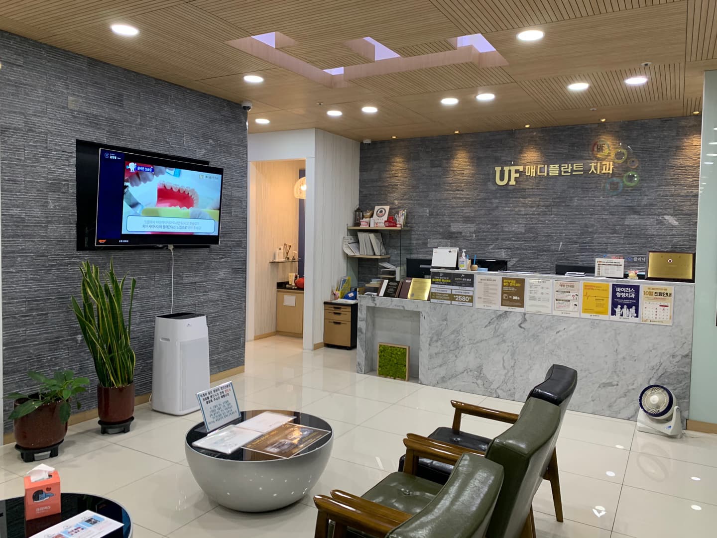 매디플란트치과